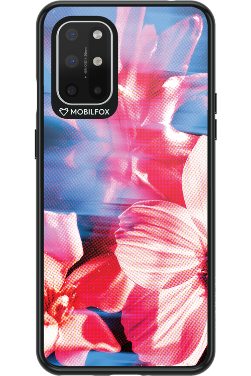 Faded Dahlia - OnePlus 8T